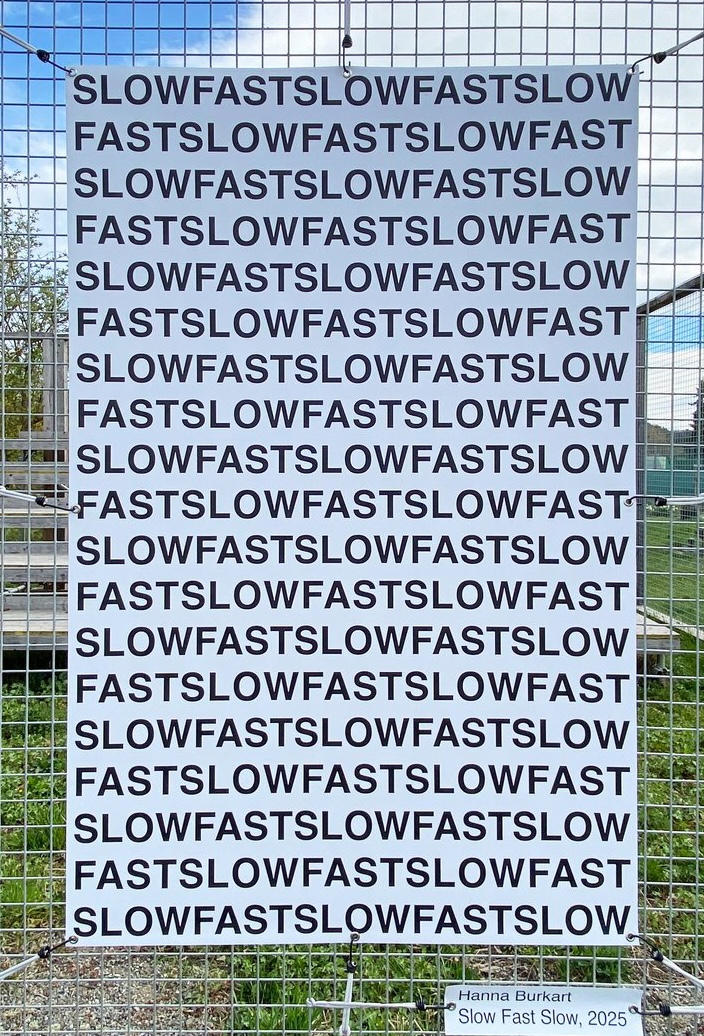 fast-slow-1